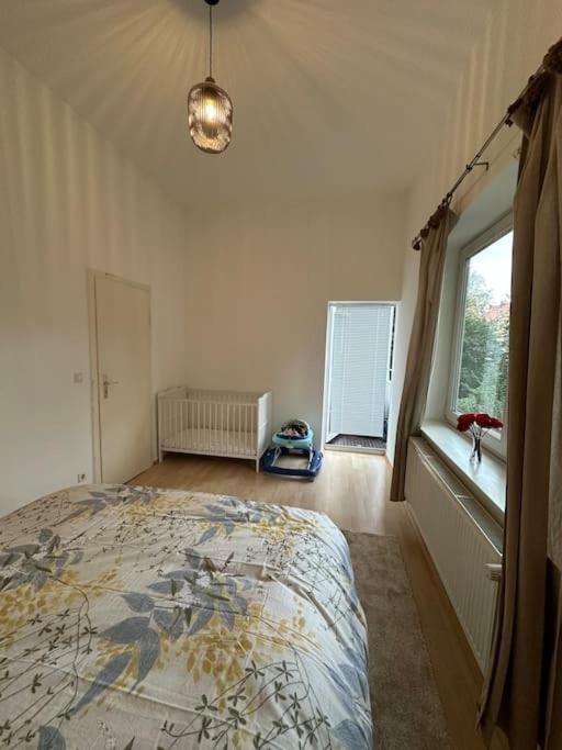 Aldstadt 2,5 Modern Elite Location Balcony Appartement